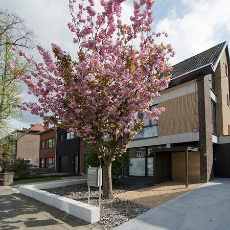 شقة Akker Duplex Mortsel المظهر الخارجي الصورة